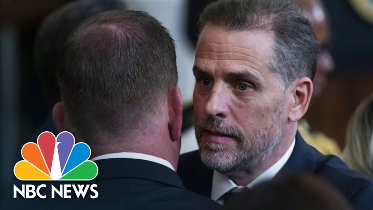 Hunter Biden tax probe improperly handled - whistleblower