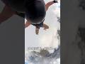 雲の中のスカイダイビング