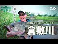 DAIWA×Bottomup 川村光大郎 Follow my F!! 【岡山の陸っぱりフィールド・倉敷川】｜Ultimate BASS by DAIWA Vol.248
