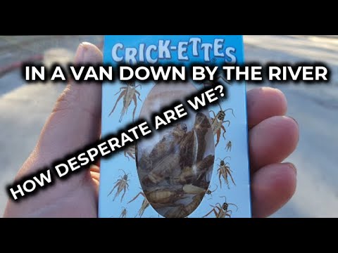 LIVING IN A VAN DOWN BY THE RIVER S1 E6 - YouTube