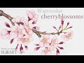 【メイキング】水彩で簡単リアルに桜を描く🌸　【watercolor】 realistic cherryblossom