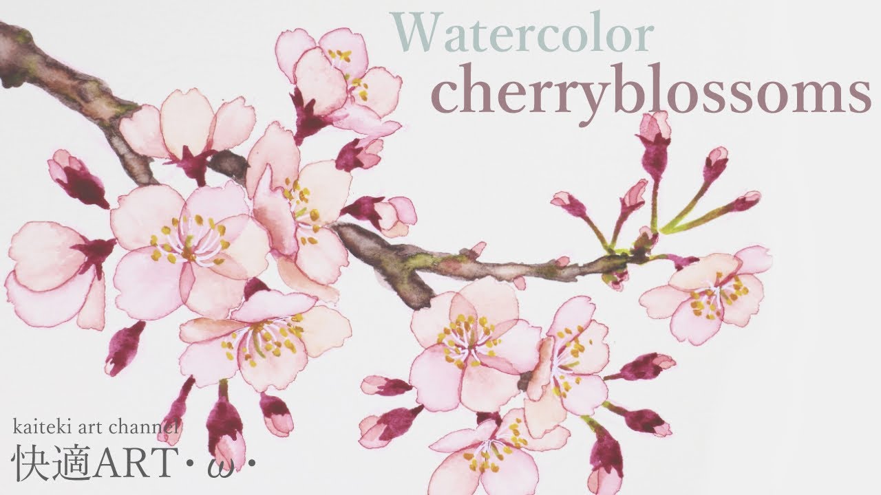 メイキング 水彩で簡単リアルに桜を描く Watercolor Realistic Cherryblossom Youtube