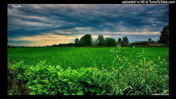 سوره البقره الحزب الثانى مشاري بن راشد العفاسى