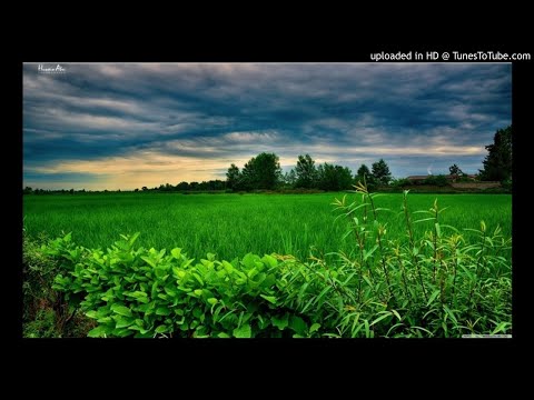 سوره البقره الحزب الثانى مشاري بن راشد العفاسى