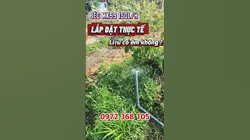 Hệ thống tưới tự động do Khuyến nông hỗ trợ, sử dụng toàn bộ béc MK99 150L/H - Hiệu quả vượt trội