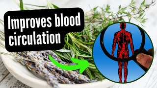 The Powerful Benefits Of Rosemary For Blood Circulation