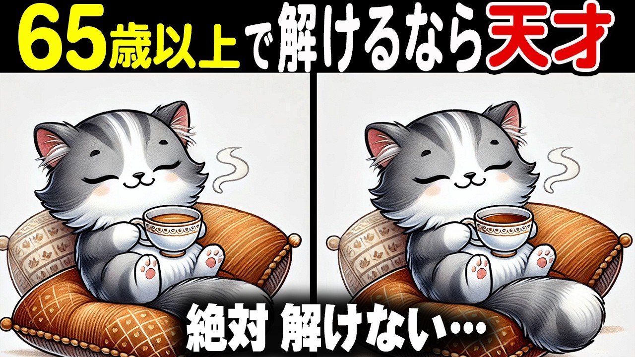 【難しいけど夢中になる間違い探しクイズ】見つけた瞬間にスカッとする達成感！33連発総集編