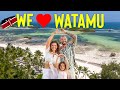 Ultimate family day out in watamu kenya  eat play beach  party