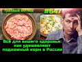 ⚡️ Мясной клей уже в вашей тарелке ⚡️ Надо ли ломать жизнь хорошим парням ⚡️Печальная судьба стукача