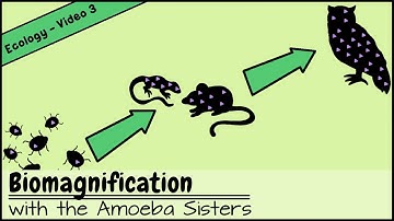 Biomagnification and the Trouble with Toxins