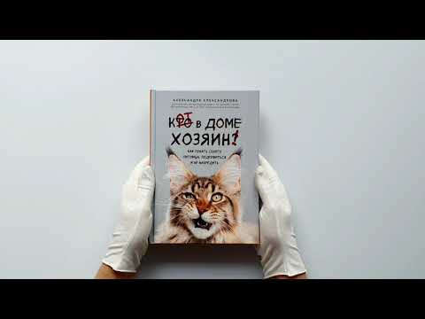 Кот в доме хозяин! Как понять своего питомца, подружиться и не навредить