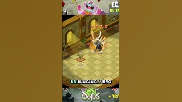 Dofus 3.0 – ECAFLIP 3 EN 1 PVM – 3 modes, 1 test BÊTA, 0 regret #ankama #dofus #gaming #dofuspvm