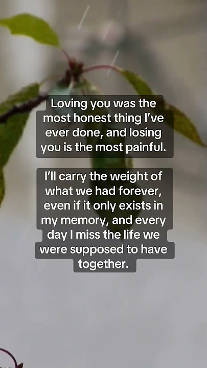 To tell you the truth…