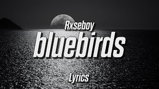 Rxseboy - Bluebirds (Ft. Connflicts) (Lyrics)