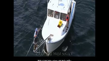 Cá Ngừ Độc Ác Mùa 2 : Wicked Tuna Tập 7 | Chương Trình Giải Trí