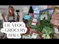 lil vlog + grocery haul