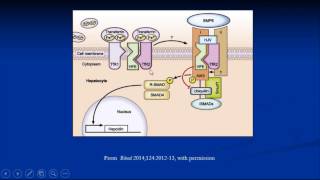 “Hemochromatosis: Too Much of a Good Thing,” Robert T. Means M.D.