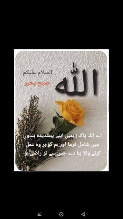 #bayan #duet #unfrezzmyaccount #quotes #islamicstatus #quran #youtubeshorts #unfrez #hadeesinurdu