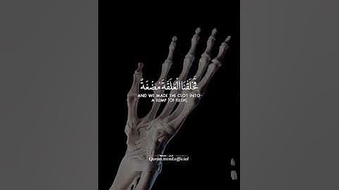 ولقد خلقنا الإنسان من سلالة من طين  ارح سمعك 🌷 #سورة_المؤمنون  #ياسر_الدوسري  #محمد_رسول_الله