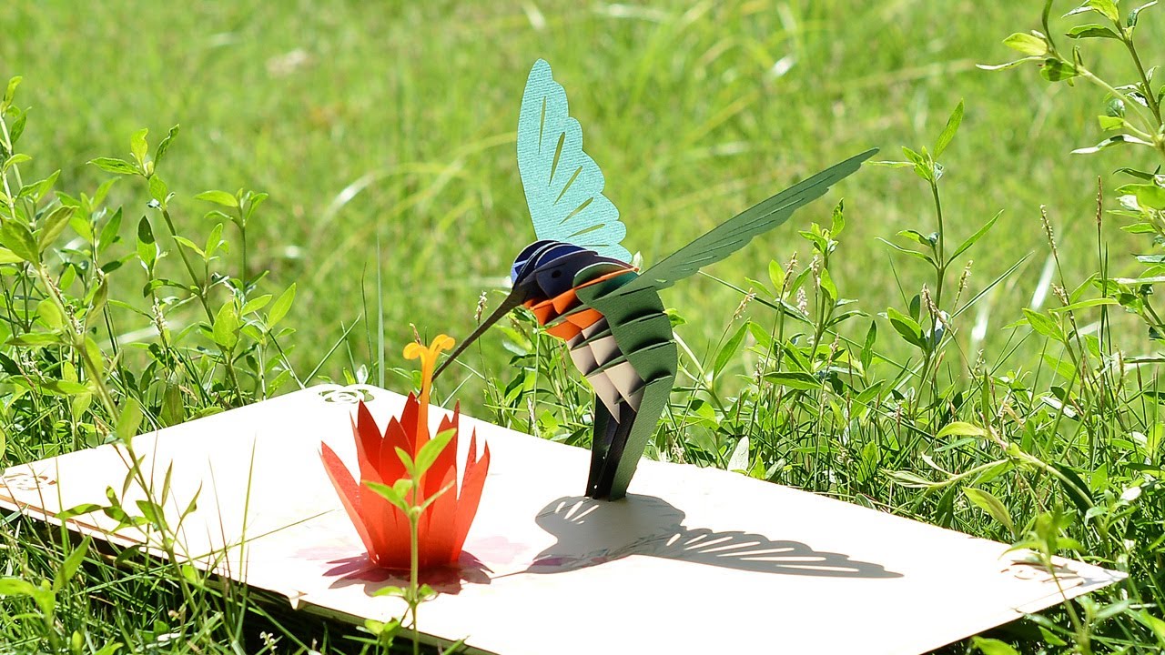 Rubi Hummingbird 3D Pop up card - YouTube
