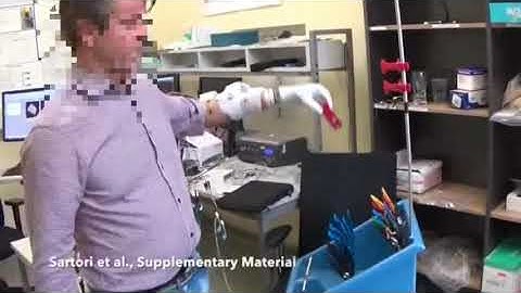 Prosthesis model-based myoelectric control: clothespin test