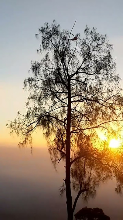 bukit jabal #viral #storywa #cinematic #nature  #sunrise #sunset #gunungindonesia