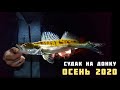 Ночная ловля судака на донку, рыбалка на живца тюльку на Волге в Тольятти в октябре 2020