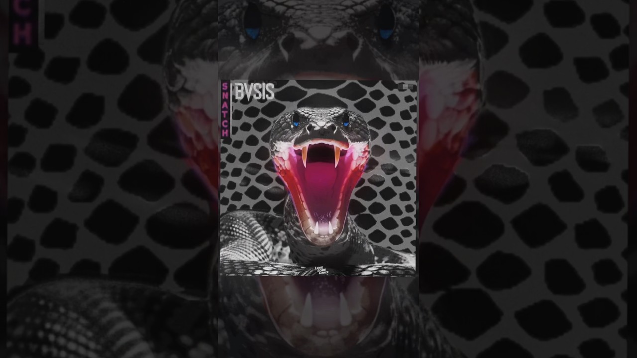 Ver BVSIS - Snatch no YouTube Ver BVSIS - Snatch no YouTube