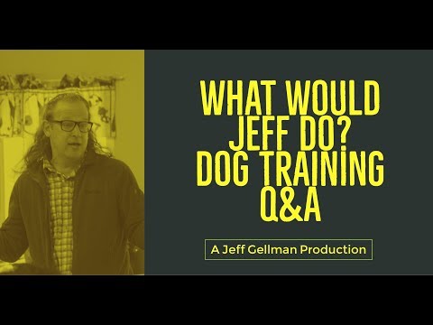 stop-a-dog-from-jumping-|-dog-bites-my-hands-|-what-would-jeff-do?-dog-training-q&a-#427
