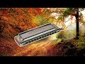 Música relajante de armónica cromática, estudiar dormir meditar Relaxing music meditation harmonica