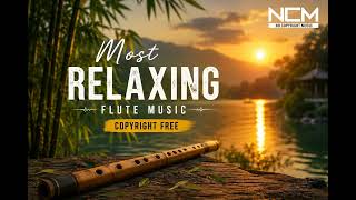 Most Relaxing Flute Music 🎶 | Stress Relief, Meditation, Sleep Music | NCM #music #melody_hub_23