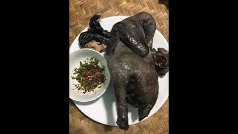 Gà đen Hmong co giá trị dinh dưỡng cao #ẩmthựctâybắc #cooking
