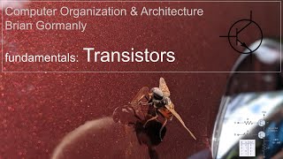 Transistors (What are they): How a Computer Processor Works