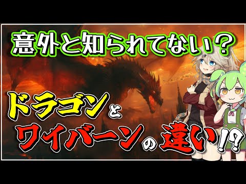 ドラゴンとワイバーンの違いとは？ワイバーンの元ネタや特徴や歴史、また現代ではアニメやゲームでどのように関わっているかなど解説！ 【ゆっくり解説】