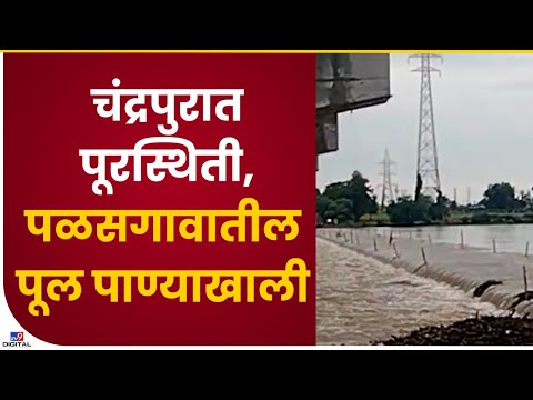 Chandrapur Bridge Underwater | पळसगाव, थोराना गावांमध्ये पूर, पावसामुळं पूल पाण्याखाली-tv9