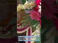 Dargah Hazrat Nasiruddin Roshan Chirag delhvi ra| Your Duago : Syed Danish Ahmed Nasiri sb