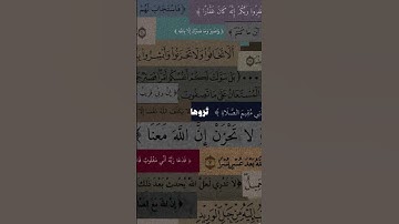 اكتب شي تؤجر عليه😴🖤 #تلاوة_هادئة #قرآن #الرحمن #المصحف #قران_كريم #لايك #اكسبلور #حالات_واتس