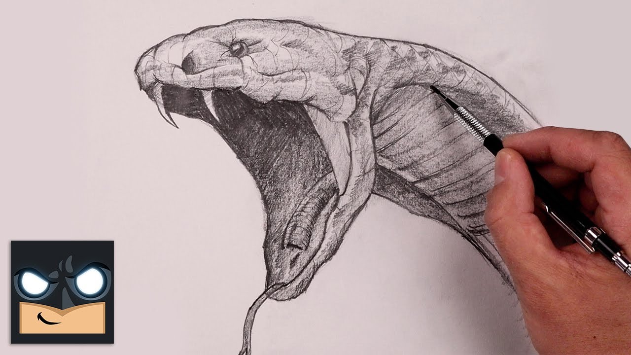 How To Draw A Snake  Reptile Sketch Tutorial 