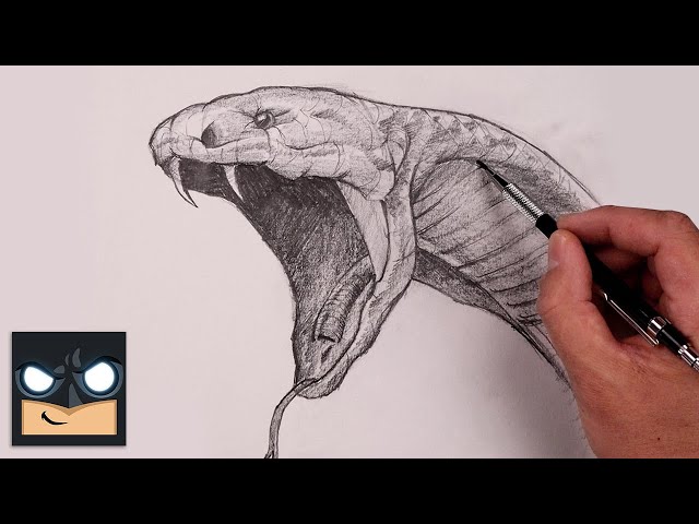 Cobra Snake animal sketch vector | Animal Illustrations ~ Creative Market