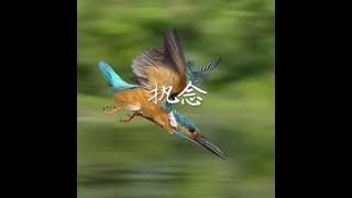 201404 执念30853