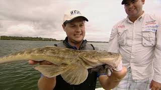 IFISH Flathead on Squidgy soft plastics