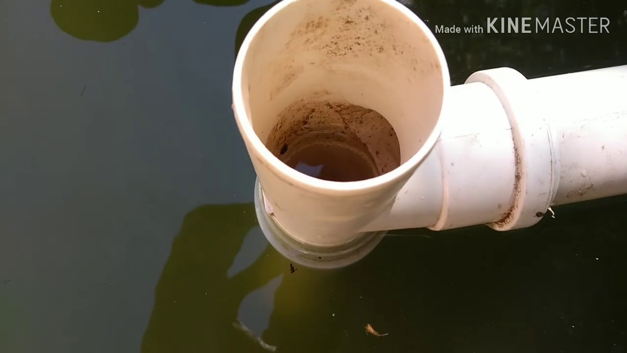 tilápias em tanque na chácara. Como filtrar meu lago ou poço de peixes... Sem saída de água...