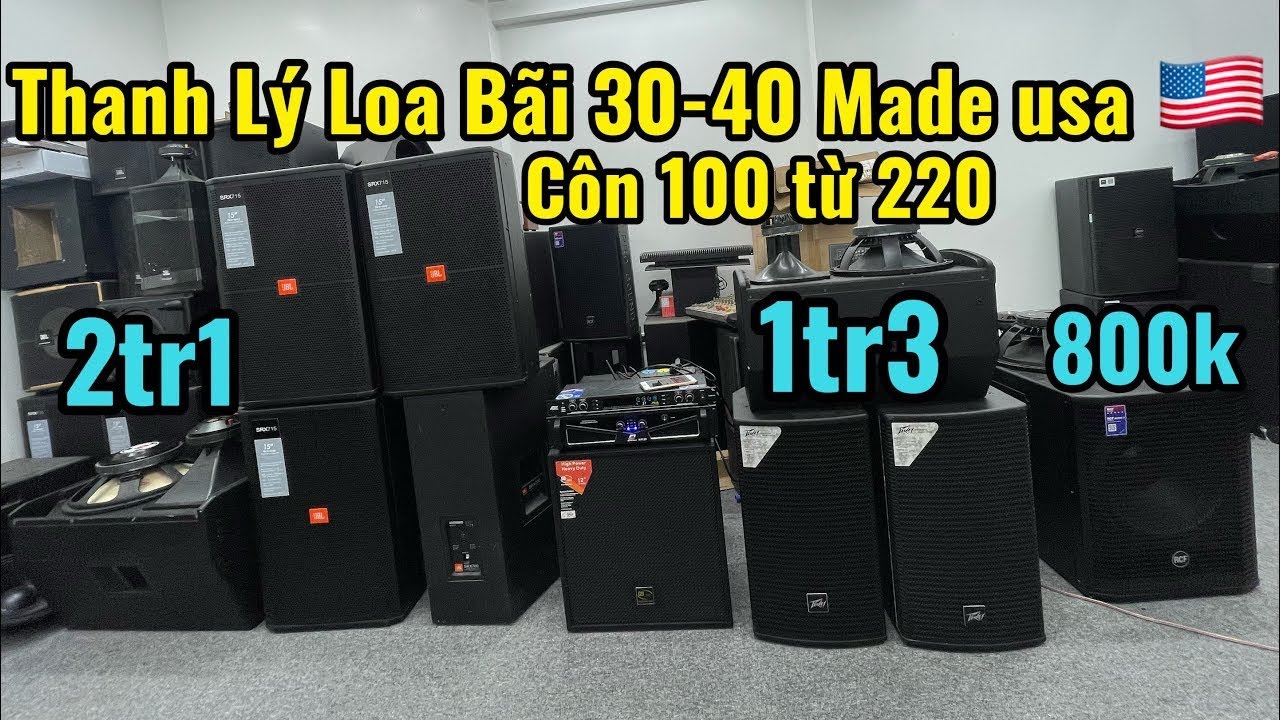 Thanh Lý Loa Bãi 30-40 Côn100 từ 220 giá sập sàn cho các bác 800nghìn - 2tr1 /1 đôi đẹp 95%