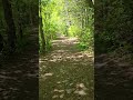 #outdoors #hiking #nature #birds #bird #alone #mentalhealth #memories #asmr #shorts #peace #relaxing