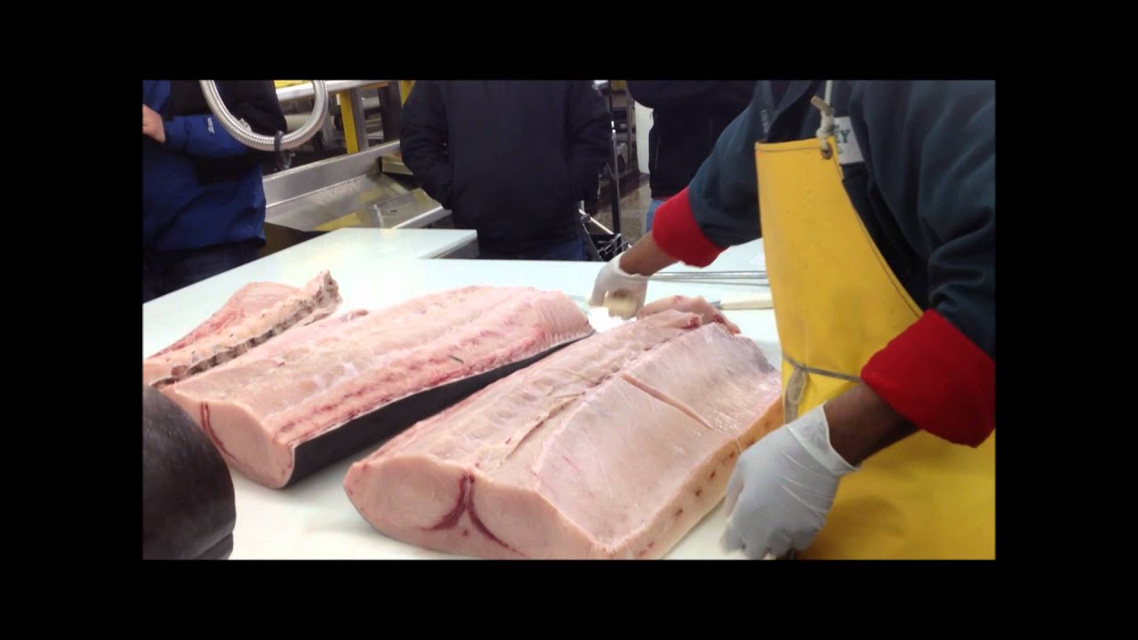 Swordfish Cutting YouTube