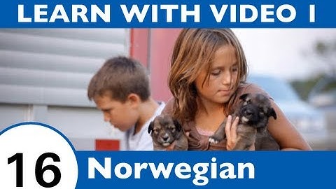 Learn Norwegian with Video - All the Joy of Learning Norwegian Begins Right Here!