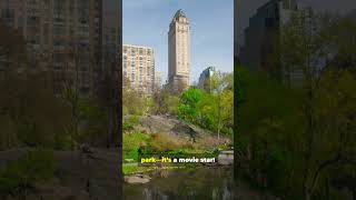 Central Park’s Secret 🌳 The Wild Truth You Never Knew!