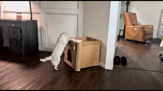 Stylish Cat Litter Box Enclosure with Scratching Post – Handwoven Rattan Cat House, Hidden Litter Ma