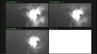 Too Much Now Darling - Nothing Personal