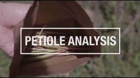 How Petioles are Analyzed